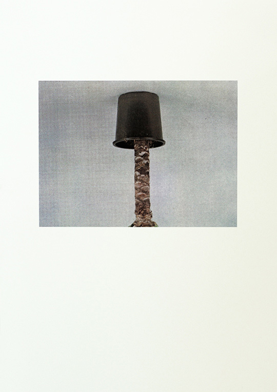 bruchunddallas-edition-15_gloel